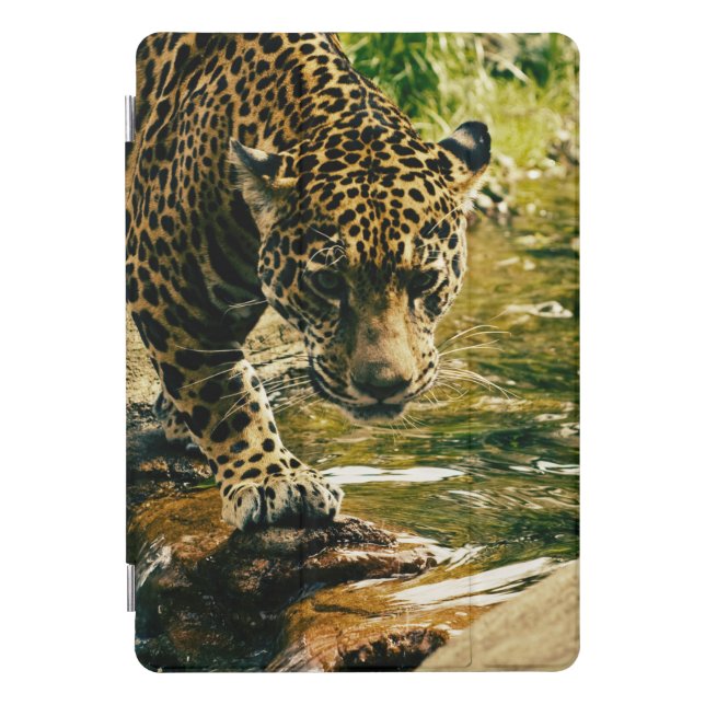 Leopard Crossing a Stream Photograph iPad Pro Cover (Front)
