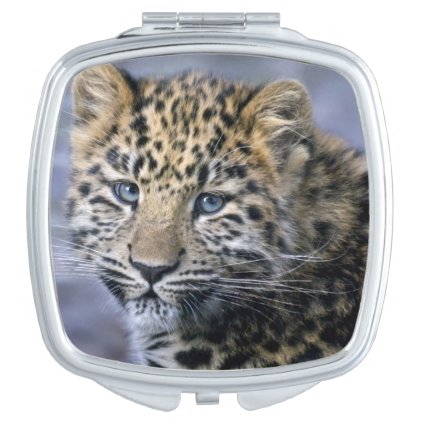 Leopard Cub Compact Mirror