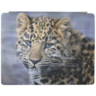 Leopard Cub iPad Cover (all models)