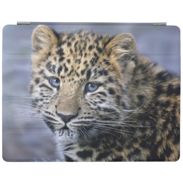 Leopard Cub iPad Cover (all models) (Horizontal)