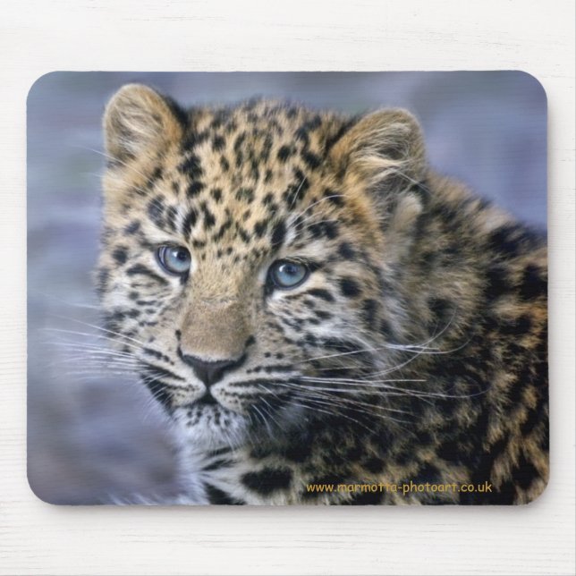 Leopard Cub Mousemat Mouse Pad (Front)