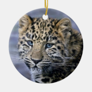 Leopard Cub Ornament