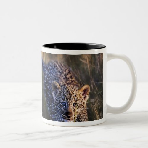 Leopard Cub Panthera Pardus as seen in the Two_Tone Coffee Mug