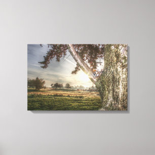 Leopard Doll in a Tree Canvas Print