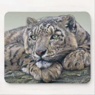 Leopard Dreaming Mousemat Mouse Pad