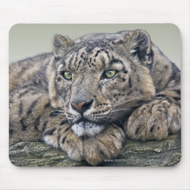 Leopard Dreaming Mousemat Mouse Pad (Front)