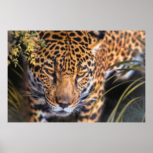 LEOPARD ENCOUNTER POSTER