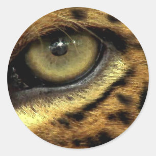 Leopard Endangered Species Stickers