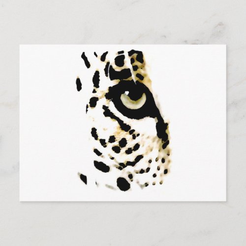Leopard Eye Postcard