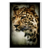 Leopard face cards (Front)