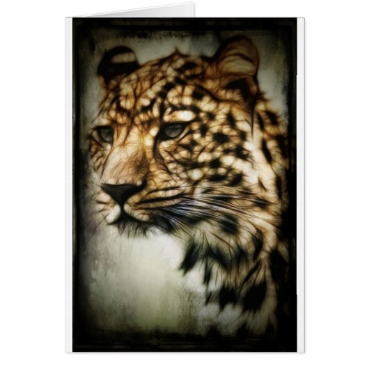 Leopard face cards (Front)
