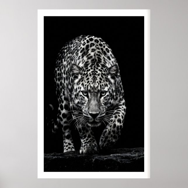 Leopard Face Wall Art Monochrome Wildlife Print (Front)