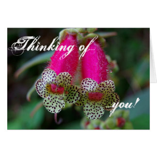 Leopard Flower Design Cards