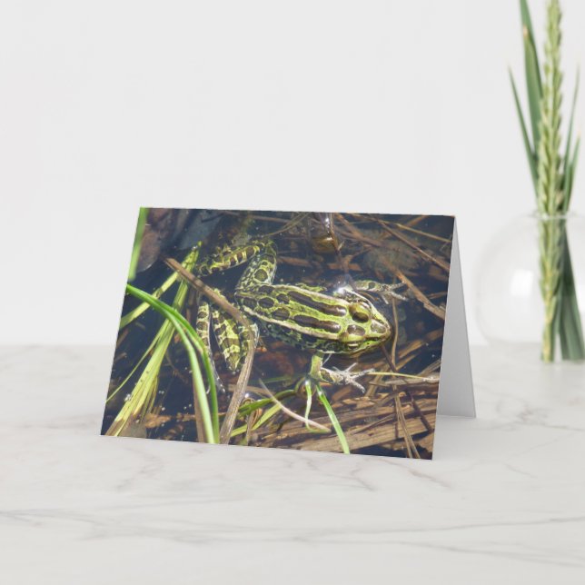 Leopard Frog Greeting Card (Front)
