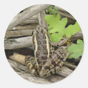 Leopard Frog Sticker
