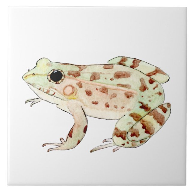 Leopard Frog Tile  (Front)