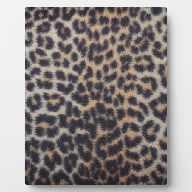 Leopard Fur Plaque (Front)