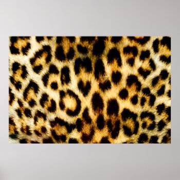 Leopard Fur Poster by TheWorldOutside at Zazzle
