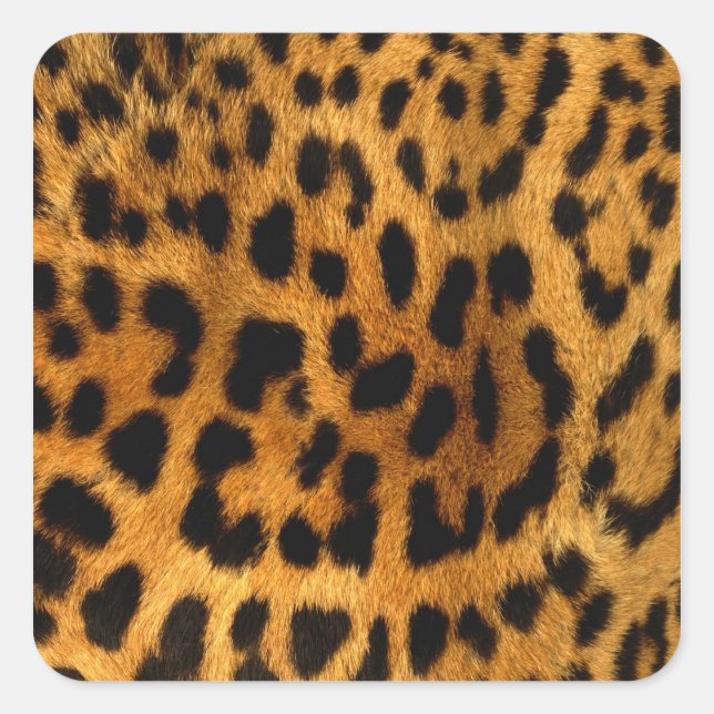Leopard Fur Print Square Sticker (Front)