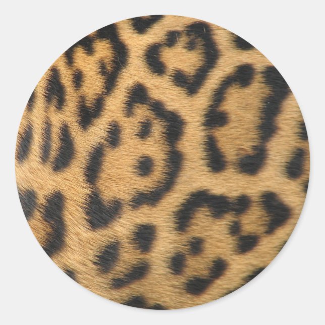 Leopard Fur Spots Pattern Classic Round Sticker (Front)