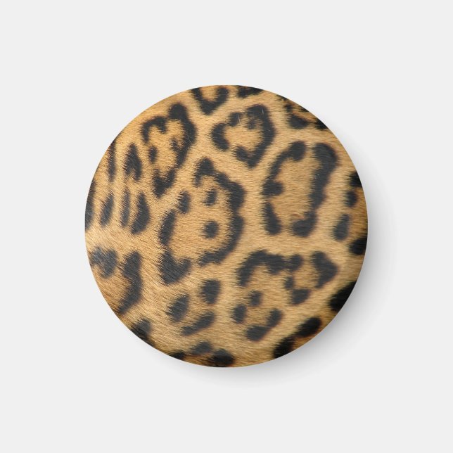 Leopard Fur Spots Pattern Magnet (Front)