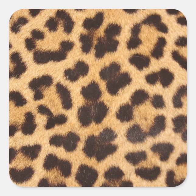 Leopard Fur Spots Pattern Square Sticker (Front)