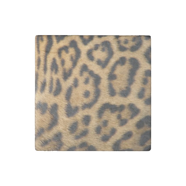 Leopard Fur Spots Pattern Stone Magnet (Front)