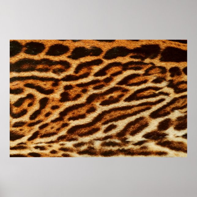 Leopard fur textures. Animal print (Front)