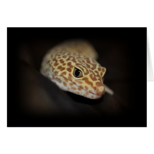 Leopard Gecko Card (Front Horizontal)
