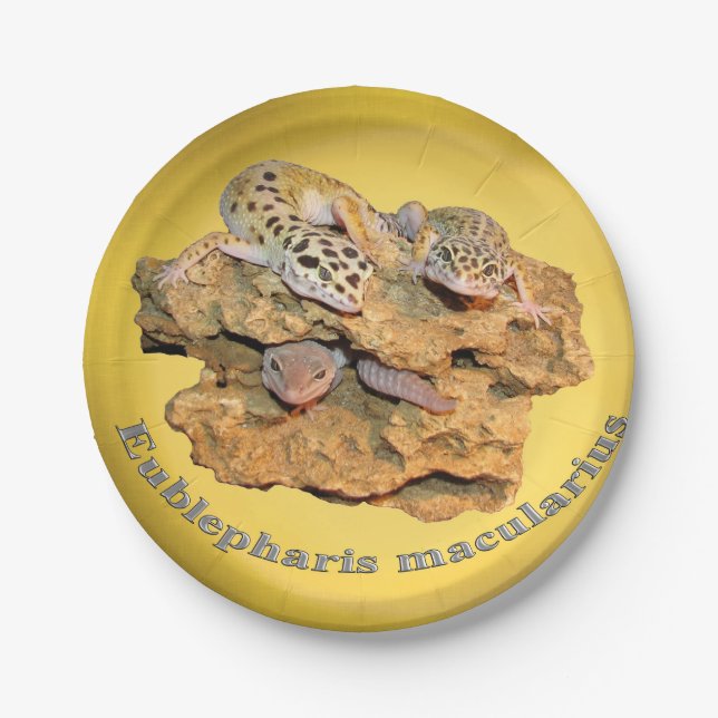 Leopard gecko design for all! paper plates (Front)