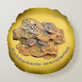 Leopard gecko design for all! round pillow (Front)