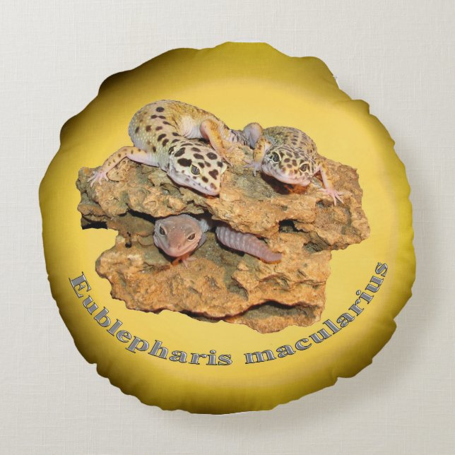 Leopard gecko design for all! round pillow (Back)