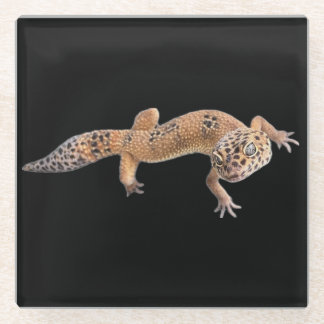  Leopard Gecko  Glass Coaster