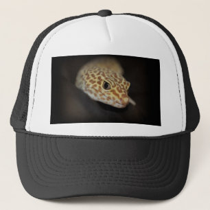 Leopard Gecko Hat