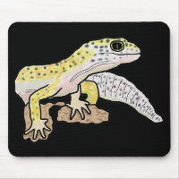 Leopard Gecko