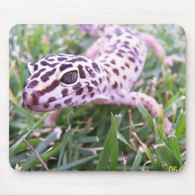 Leopard Gecko Mouse Pad (Front)