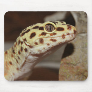 Leopard Gecko Mouse Pads & Desk Mats