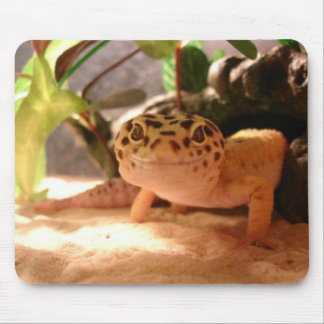 Leopard Gecko Mousepad