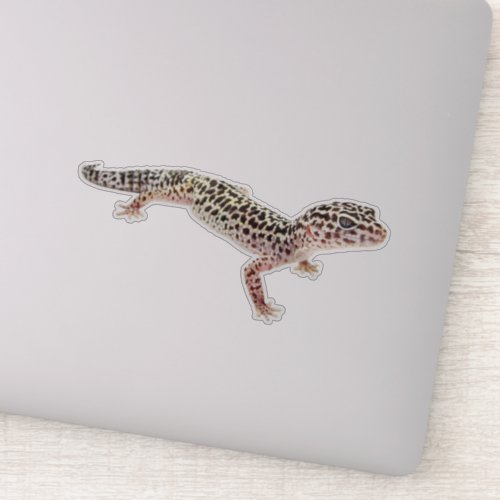 Leopard Gecko Sticker