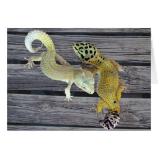 Leopard Geckos – Coat of Many Colors Cards