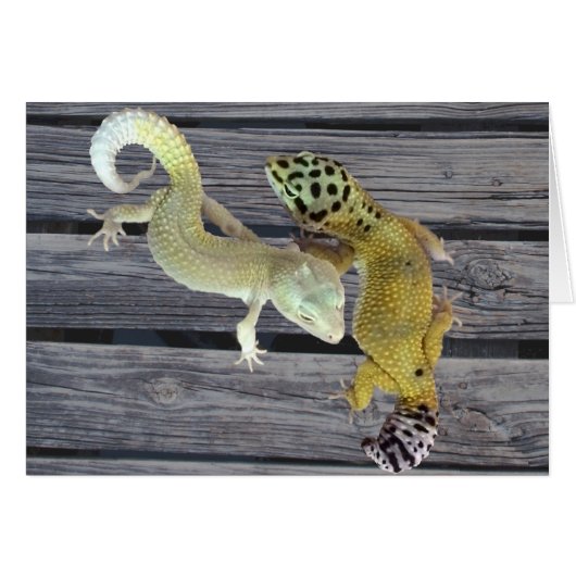 Leopard Geckos – Coat of Many Colors Cards (Front Horizontal)