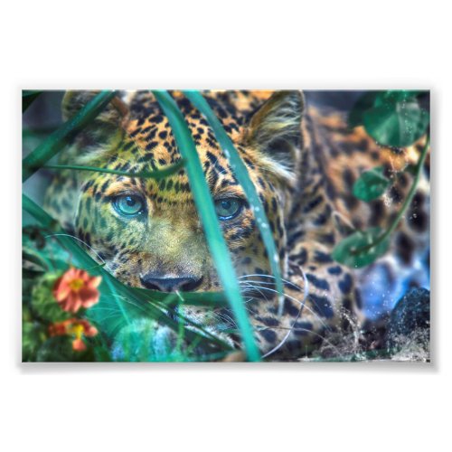 LEOPARD GREEN EYES GAZER PHOTO PRINT