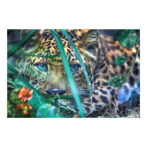 LEOPARD GREEN EYES GAZER PHOTO PRINT