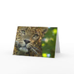Leopard Greeting Card