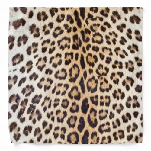 Leopard hair bandana