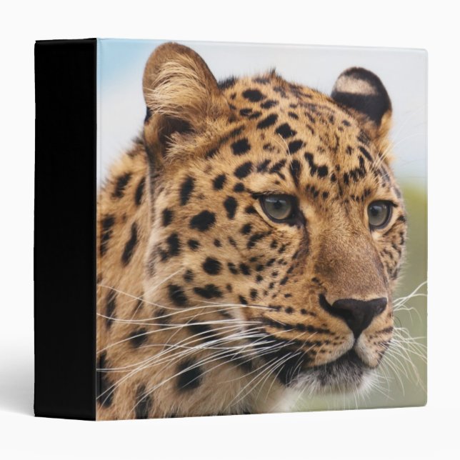 Leopard Head Portrait Binder (Front/Spine)