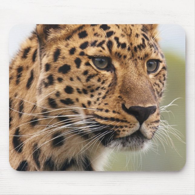 Leopard Head Shot Mouse Pad (Front)
