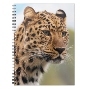 Leopard Head Shot Notebook