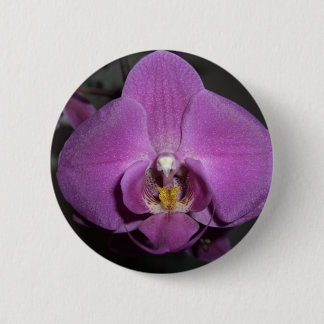 Leopard Head Yellow Purple Orchid Pinback Button