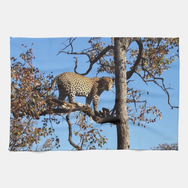 Leopard in a Tree in Africa Kitchen Towel (Horizontal)